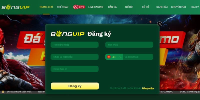 Các tính năng nổi bật của bóng vip